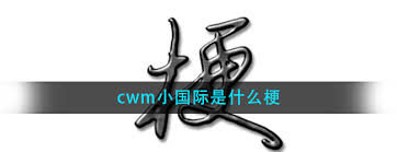 What does international mean