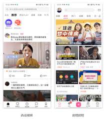 西瓜视频火苗计划是什么