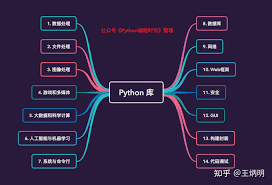 Python数据结构精要是什么