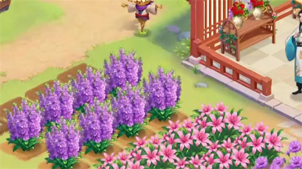 我的花园世界梦紫郁金香获取攻略