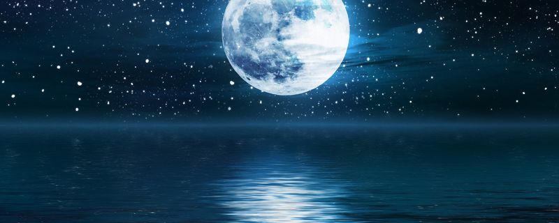 六便士和月亮是什么梗-六便士和月亮的梗解析