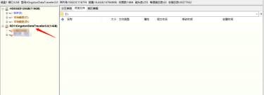 diskgenius怎样批量格式化USB磁盘