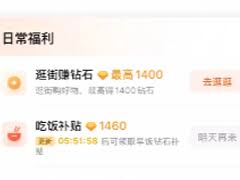 红果钻石与金币的区别是什么