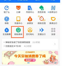 支付宝蚂蚁森林环保证书在哪查看