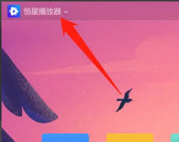 恒星播放器如何设置鼠标悬停进度条显示缩略图