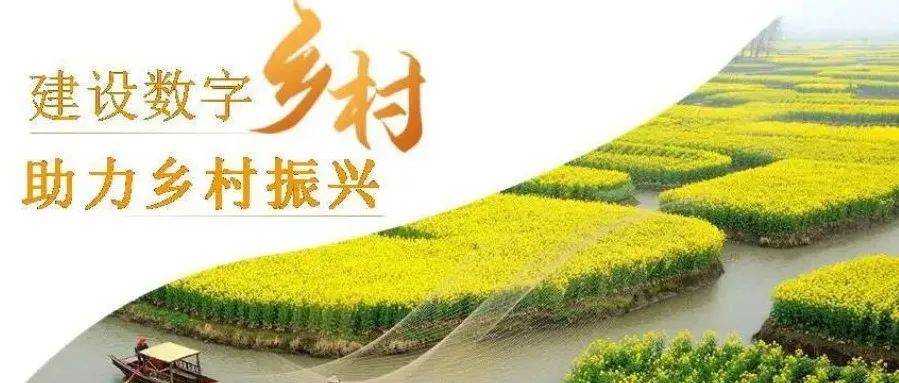 乡村振兴行动如何报名