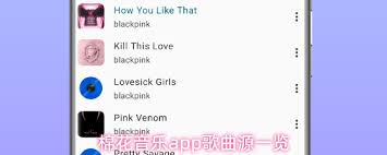 棉花音乐app歌曲源有哪些