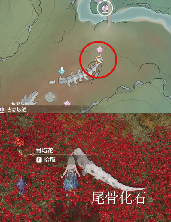 无限暖暖2.5埋骨地奇针觅古古物位置点位