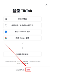 tiktok官方网站入口地址是什么