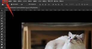 ps怎么切换条件模式