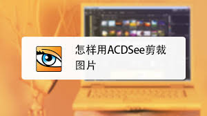 光影魔术手如何换底色