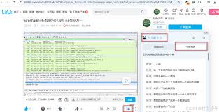 哔哩哔哩字幕怎么下载