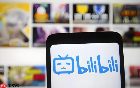 bilibili网页版直达-B站官网访问入口