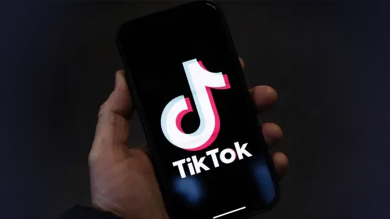 TikTok视频在线观看入口-TikTok官网高清视频直连