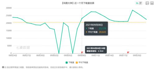 网易大神实名认证信息查询指南
