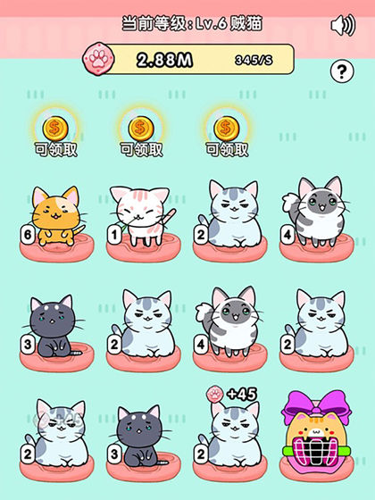 我的小猫 1