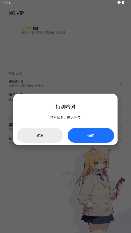 NO VIP软件界面展示