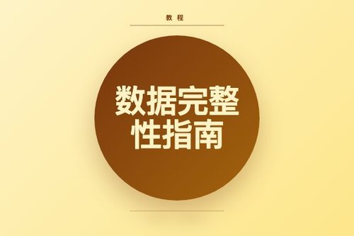 数据完整性指南怎么用？数据玩家亲测3步搞定
