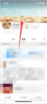 如何更换微博个人主页背景