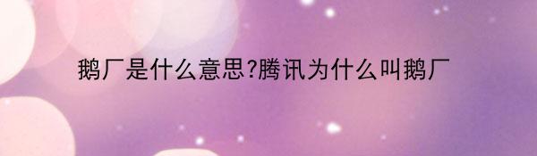 鹅厂是啥意思-腾讯为啥叫鹅厂