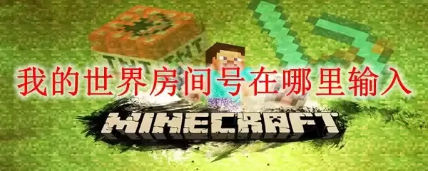 我的世界-房间号输入位置在哪里