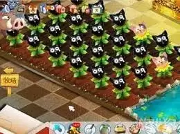 qq农场种植哪些作物收益最高：金币获取最佳选择
