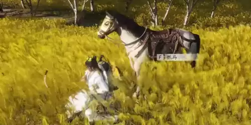 燕云十六声稀有坐骑琳琅雪如何获得-完整获取流程指南