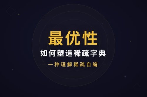 最优性如何塑造稀疏字典：一种理解稀疏自编码器表征的新理论