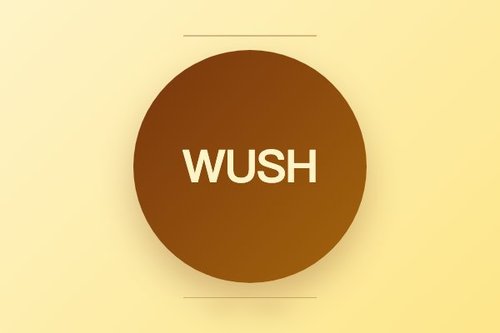 WUSH 提出近最优自适应变换以优化 LLM 量化误差