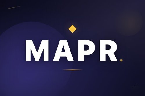 MAPR：预测奖励验证元意识提升推理模型性能