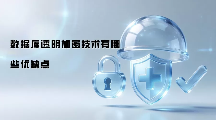 数据库透明加密技术的优势与不足有哪些