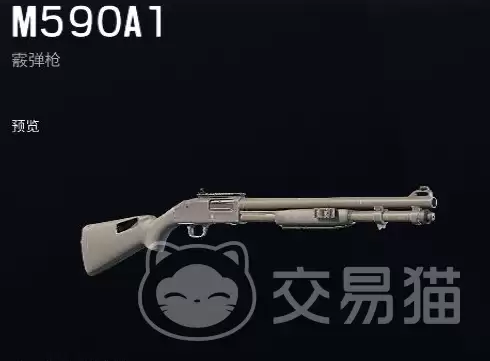 彩虹六号手游武器大全图鉴：彩虹六号手游全武器类型属性与实战搭配指南