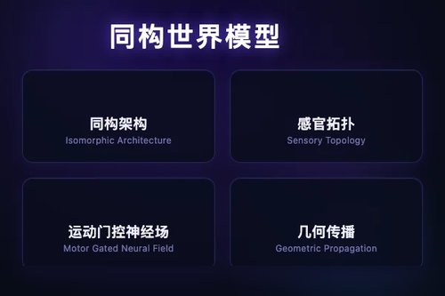 神经场作为世界模型：同构架构保留感官拓扑实现物理预测