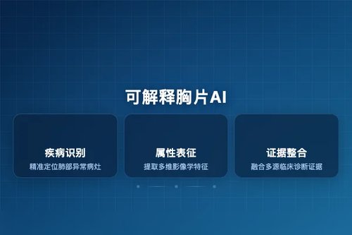 IMT-CXR统一多任务框架实现可解释胸部X光分析