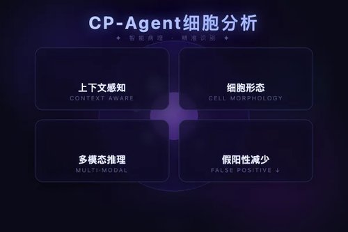 CP-Agent：上下文感知多模态推理实现化学扰动下细胞形态分析