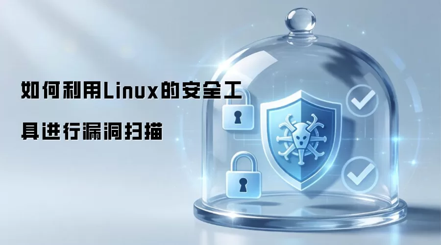怎样使用Linux安全工具开展漏洞扫描