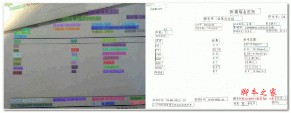 PaddleOCR工具库v3.0.1