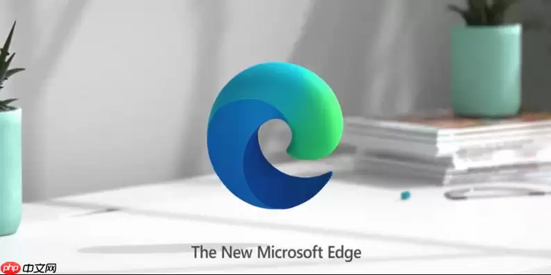 edge浏览器网页声音无法播放如何解决 Edge浏览器音频输出与站点静音设置