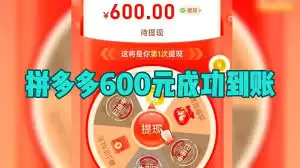 拼多多打款审核是否是最后一步