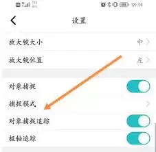 CAD看图王捕捉模式开启方法