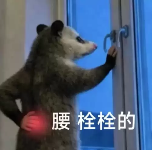 2026年刷屏背手负鼠表情包-打工人的精神嘴替！