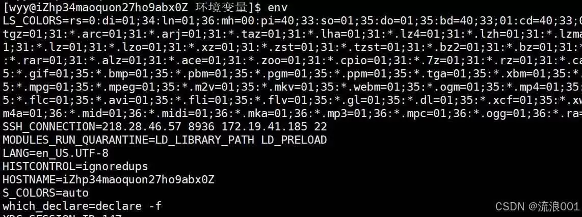 Linux命令行参数和环境变量:程序和系统沟通的底层逻辑分析