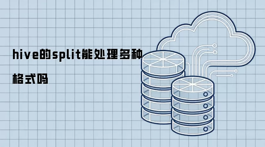 hive的split可以处理多种格式吗