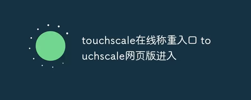 touchscale网页版进入 touchscale在线称重入口