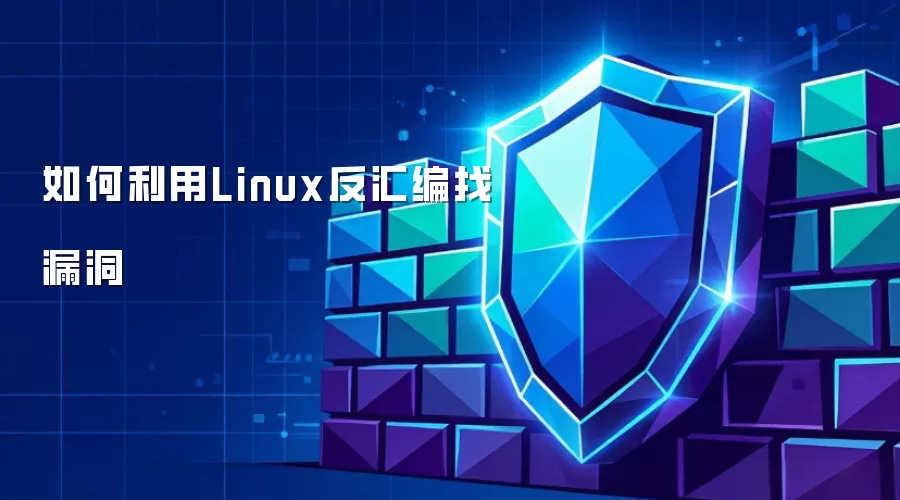 怎样利用Linux反汇编找漏洞