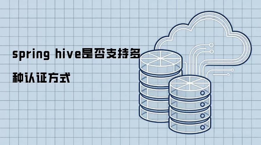 spring hive能否支持多种认证方式