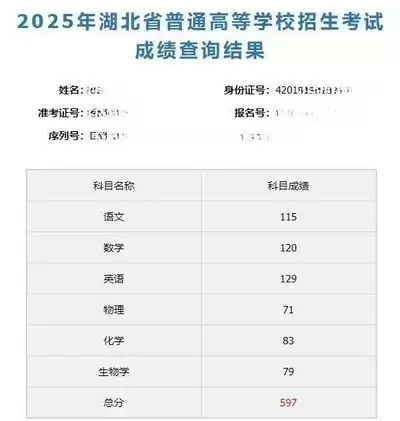 湖北2026高考查分时间
