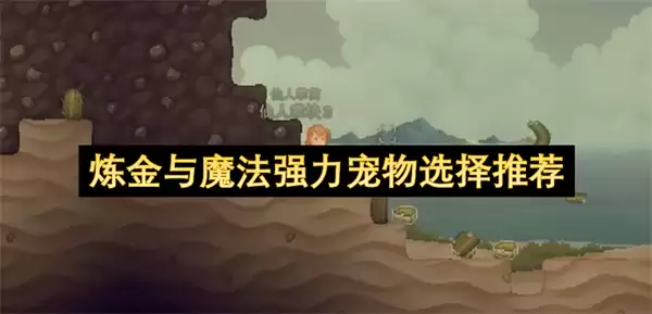 炼金与魔法强力宠物选择推荐