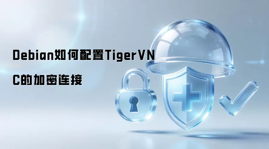 Debian如何给TigerVNC配置加密连接