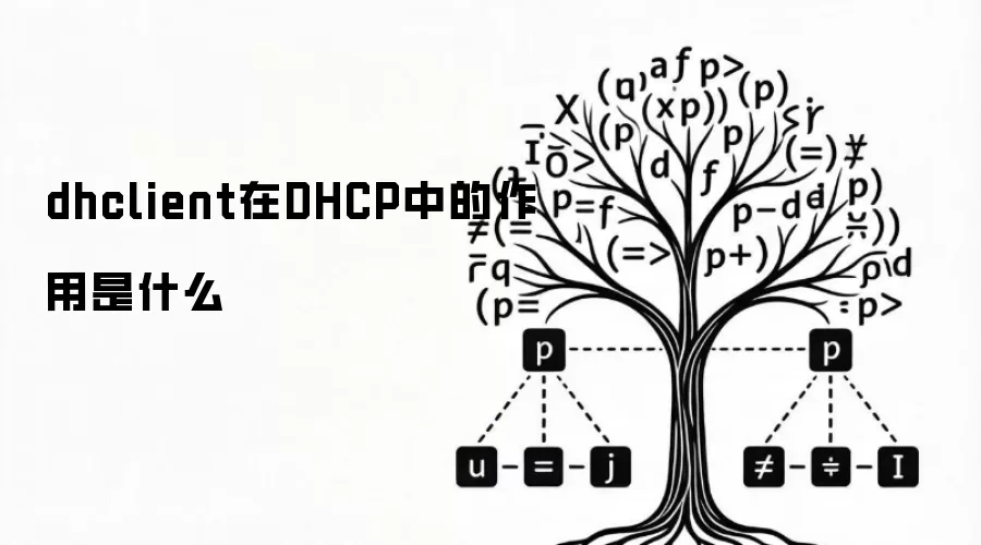 dhclient在DHCP中具备什么作用
